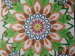 whatsapp image 2026-01-22 at 17.12.31